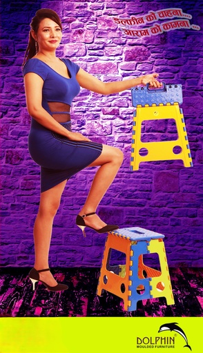 Dolphin Folding Stool